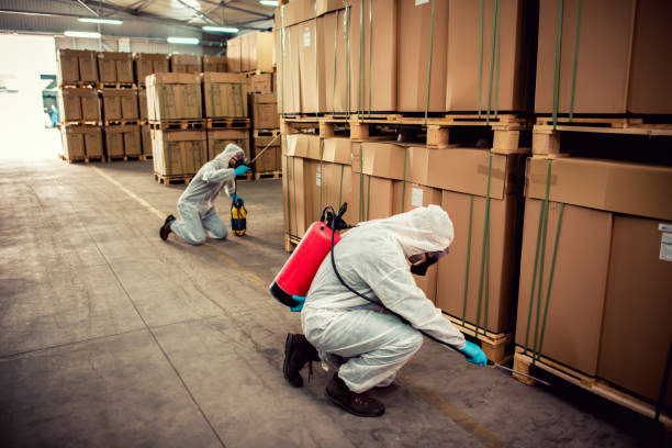 Best Pest Removal Services  in Central Gardens, TX