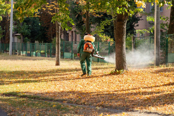 Best Wasp Removal Services  in Central Gardens, TX