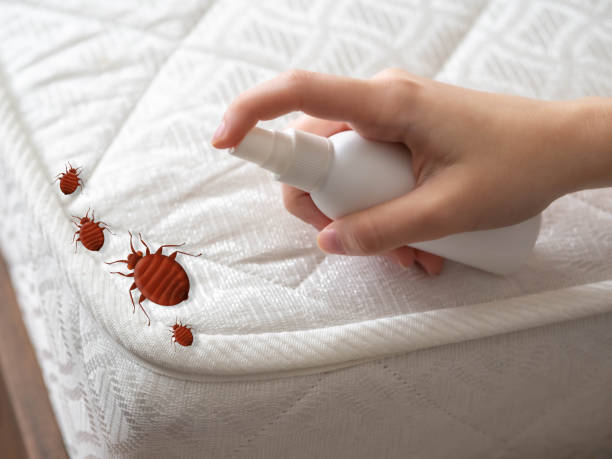 Best Mosquito Control Services  in Central Gardens, TX