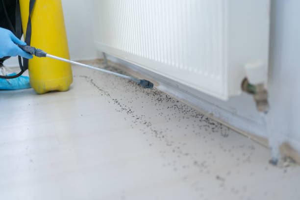 Best Pest Removal Services  in Central Gardens, TX